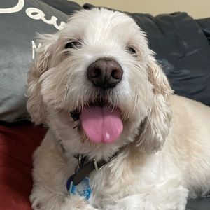 Meet your Posher, Stephen